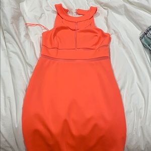 Coral mini dress with mesh detail
